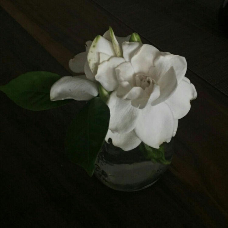 会津（高荷惠的故乡） - 教育课程视频在线观看 - 平板观看